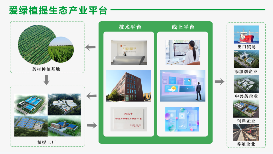 凯时首页·(中国区)官方网站